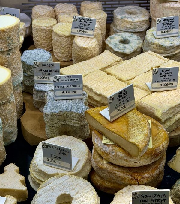 Selection of French artisan cheeses at Bordeaux market